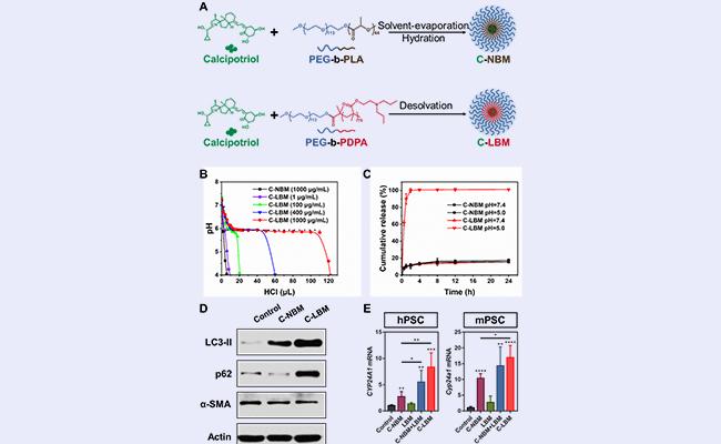 微信图片_20210812142539 - 副本.jpg