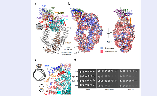 空白背景new1 - 副本 (2).jpg
