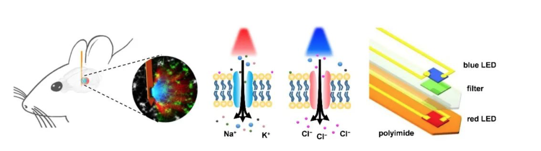 20220211-科研新闻-盛兴-图1 ;.png