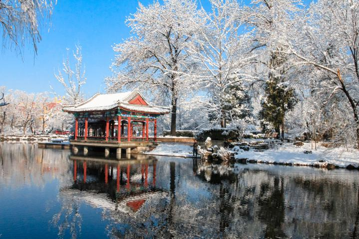 20250423-114 周年校庆|AG(中国)AG·官方网页版离退休教职工书画作品展和摄影作品展开幕-段鸿杰-作品名称:《校园雪韵》作者:费润升.png