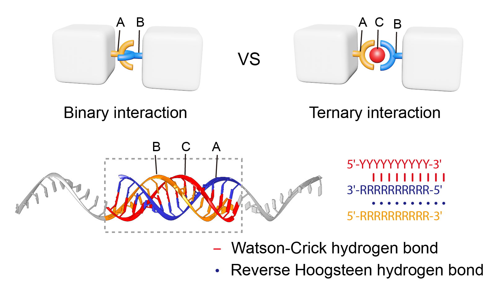 20220617-魏迪明-论文-成果照片1jpg 20220617-魏迪明-论文-成果照片1jpg