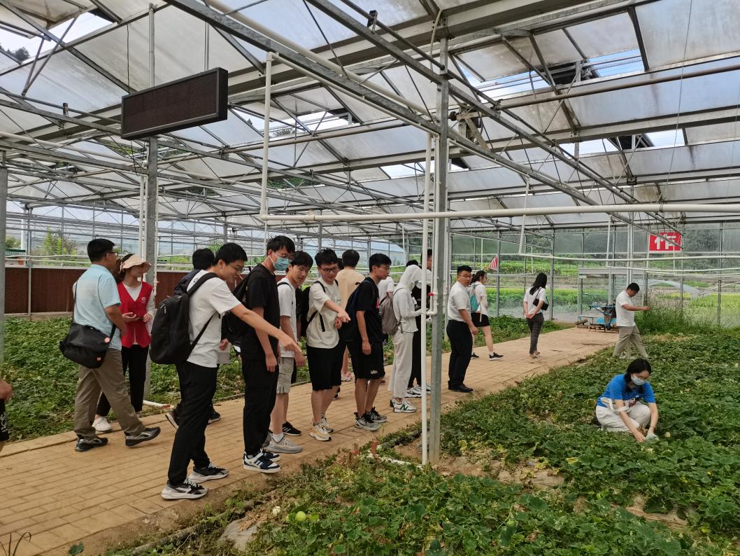20220808-0814-AG（中国）AG·官方网页版“林枫计划”师生赴江西赣县区调研实践-马小涵摄-支队师生参观五云镇夏潭村蔬菜研学基地.jpg