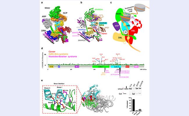 空白背景1new - 副本.jpg