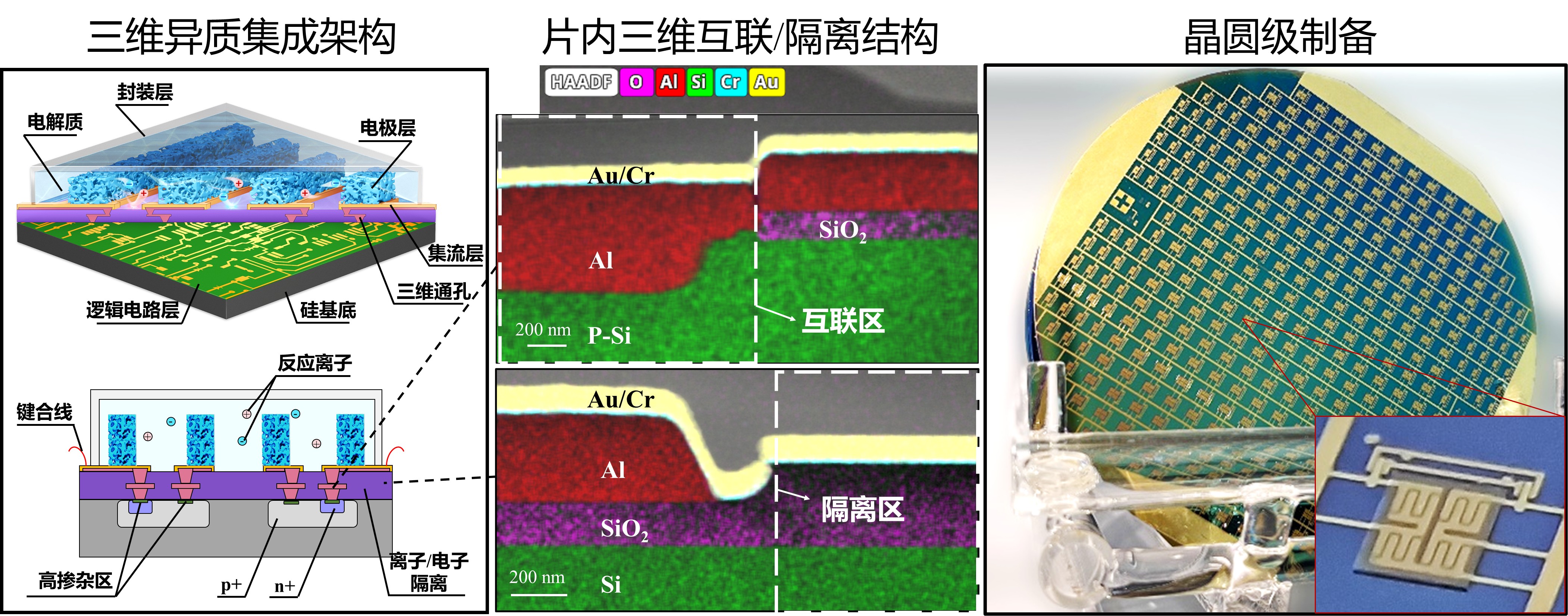 20250429-高频超级电容器-王晓红-图2 电化学与半导体器件晶圆级异质集成构建单片集成芯片.jpg