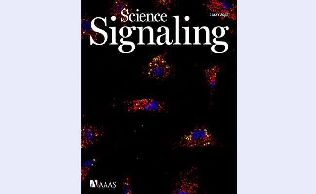 空白背景1new - 副本.jpg 空白背景1new - 副本.jpg