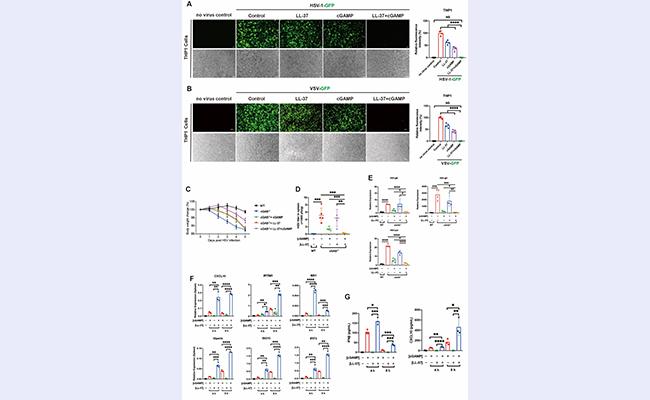 微信图片_20220601121326 - 副本 - 副本.jpg