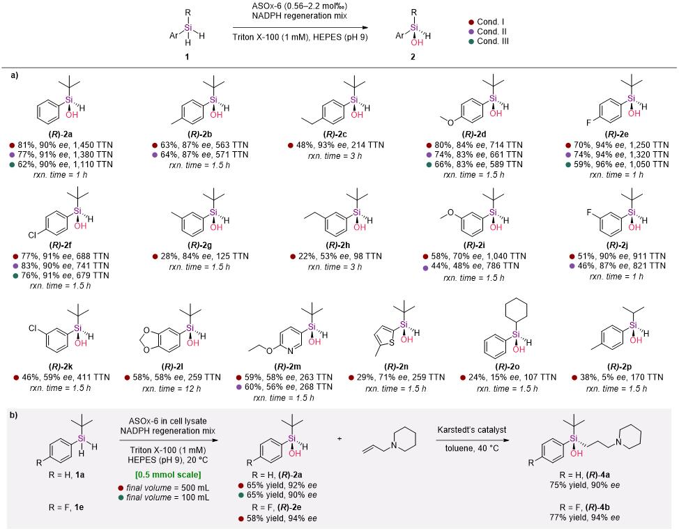 20250407-Angew. Chem. -刘臻-3. 底物适用性拓展与合成应用探索.jpg