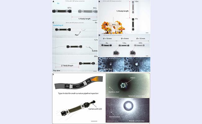 微信图片_20210812142539 - 副本.jpg