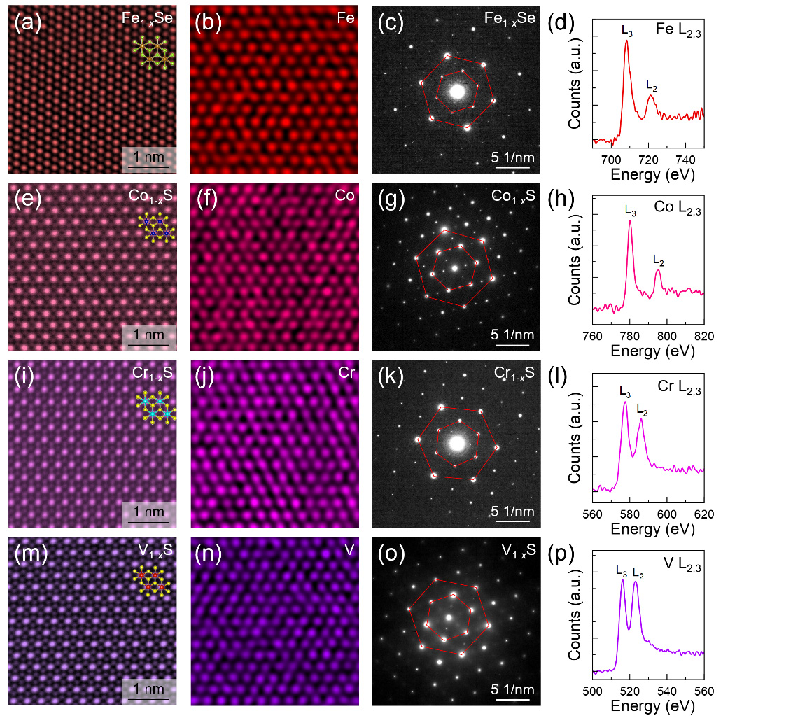 20220921-论文-谭隽阳-非层状二维Fe1-xSe、Co1-xS、Cr1-xS和V1-xS的电学特性jpg 20220921-论文-谭隽阳-非层状二维Fe1-xSe、Co1-xS、Cr1-xS和V1-xS的电学特性jpg