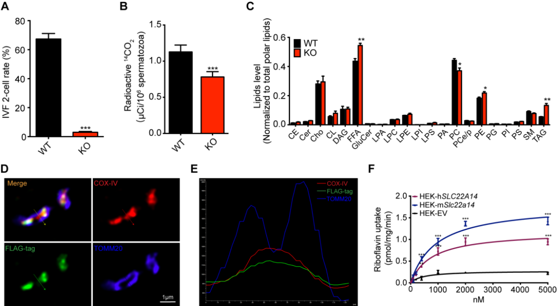 新闻稿 插图 新闻稿 插图